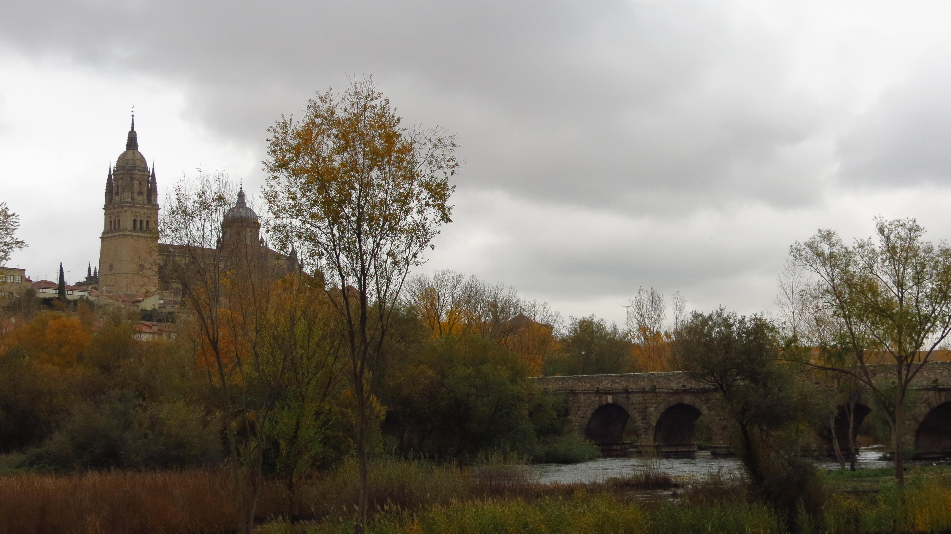 El rio Tormes a su paso por Salamanca